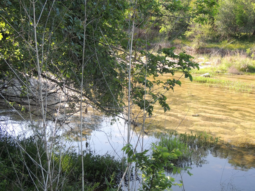 Along Old San Antonio Highway, Texas