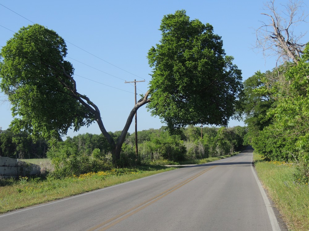 Along Old San Antonio Highway, Texas