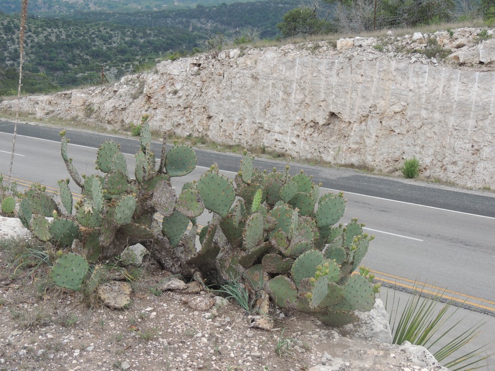 Hwy 83, Texas