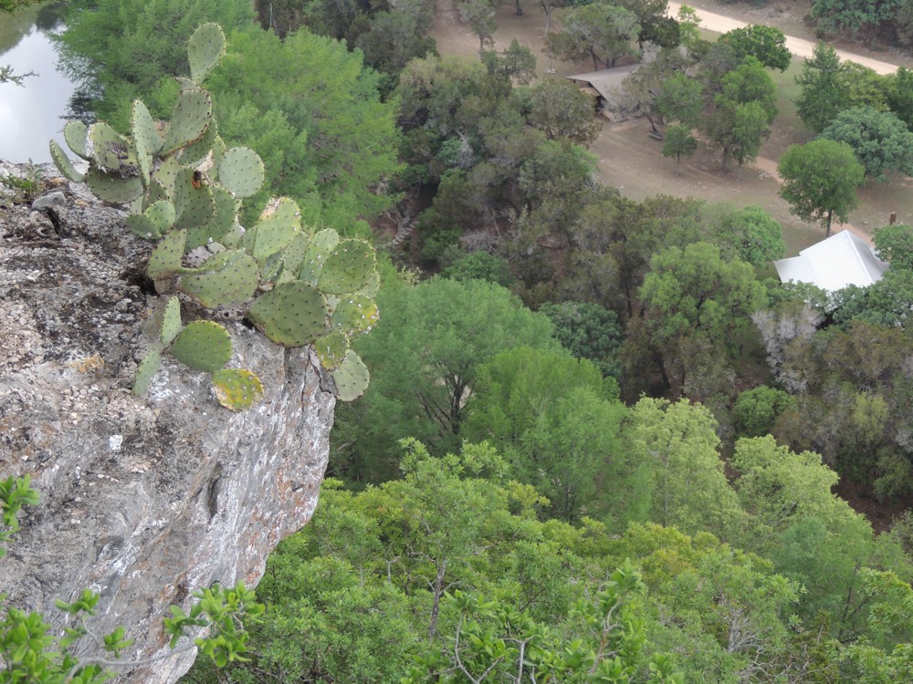 Hwy 83, Texas